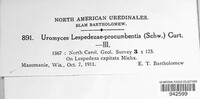 Uromyces lespedezae-procumbentis image